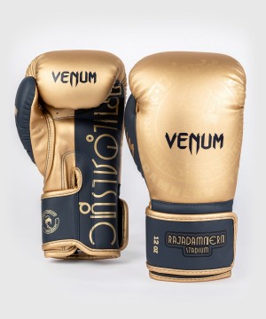 Venum RAJADAMNERN x(Muay Thai) Miesten Nyrkkeilyhanskat Harmaat | 82409-UZGA | Suomi