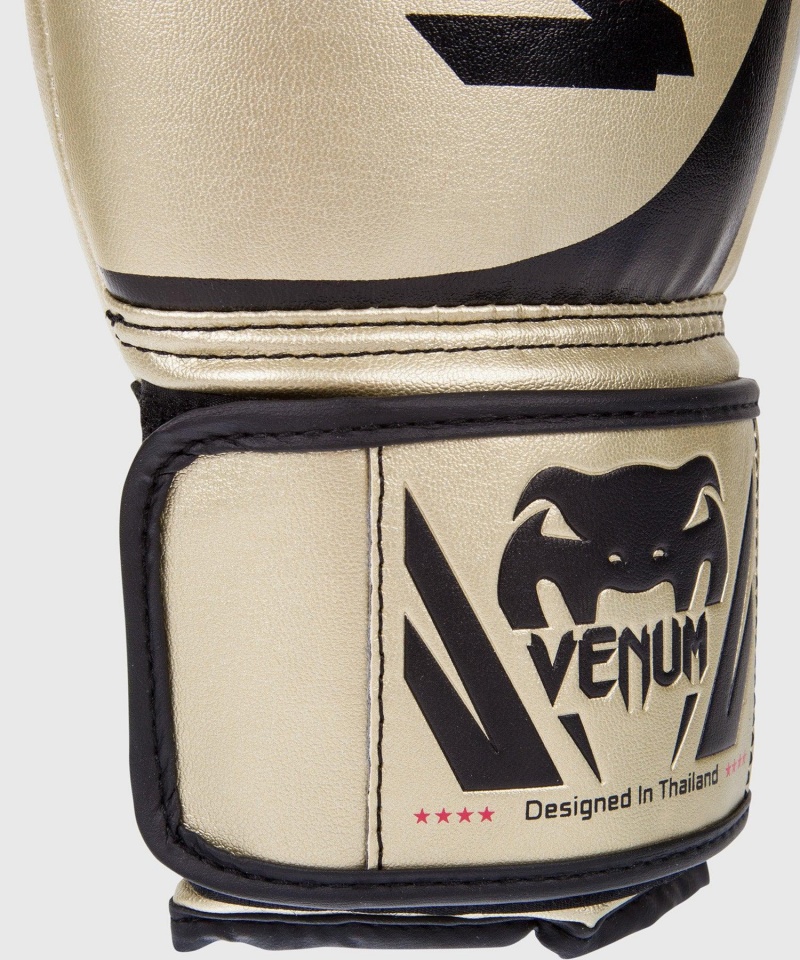 Venum Challenger 2.0(Muay Thai) Miesten Nyrkkeilyhanskat Kultaiset | 71950-SYFV | Suomi