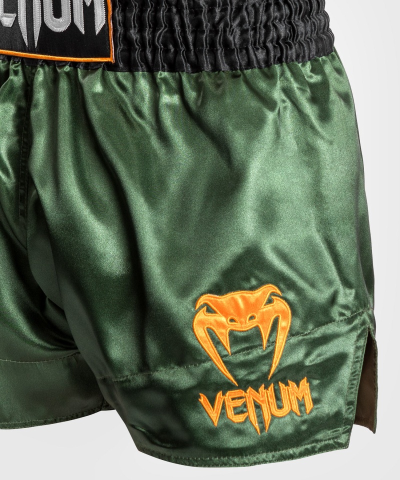 Venum Classic Miesten Muay Thai Shortsit Vihreä Mustat Kultaiset | 91675-SGQX | Suomi