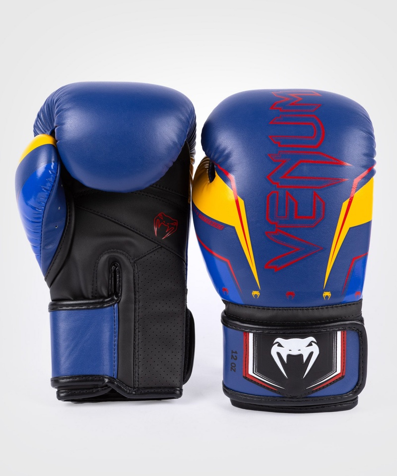 Venum Elite Evo(Muay Thai) Miesten Nyrkkeilyhanskat Sininen Keltainen | 71490-DHMZ | Suomi