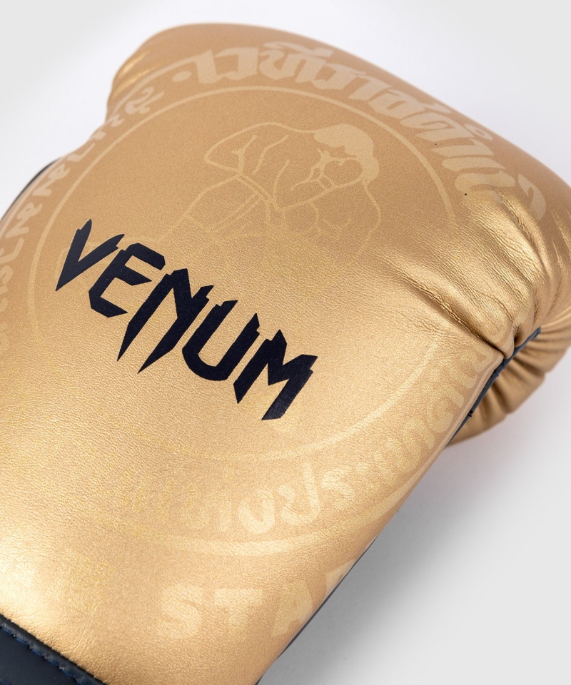 Venum RAJADAMNERN x(Muay Thai) Miesten Nyrkkeilyhanskat Harmaat | 82409-UZGA | Suomi